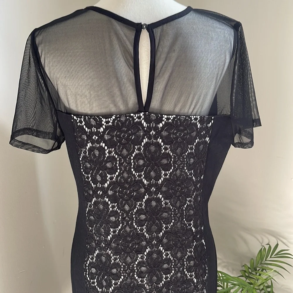 Julienne W   Sheer and Lacy Little Black Dress   Short Sleeves XL